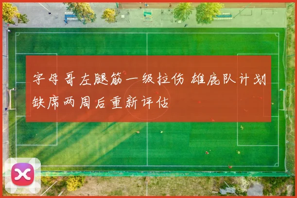 字母哥左腿筋一级拉伤 雄鹿队计划缺席两周后重新评估